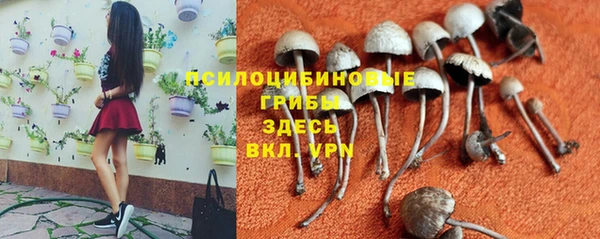 MDMA Premium VHQ Лиски