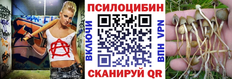 Галлюциногенные грибы Psilocybe  Кемерово 
