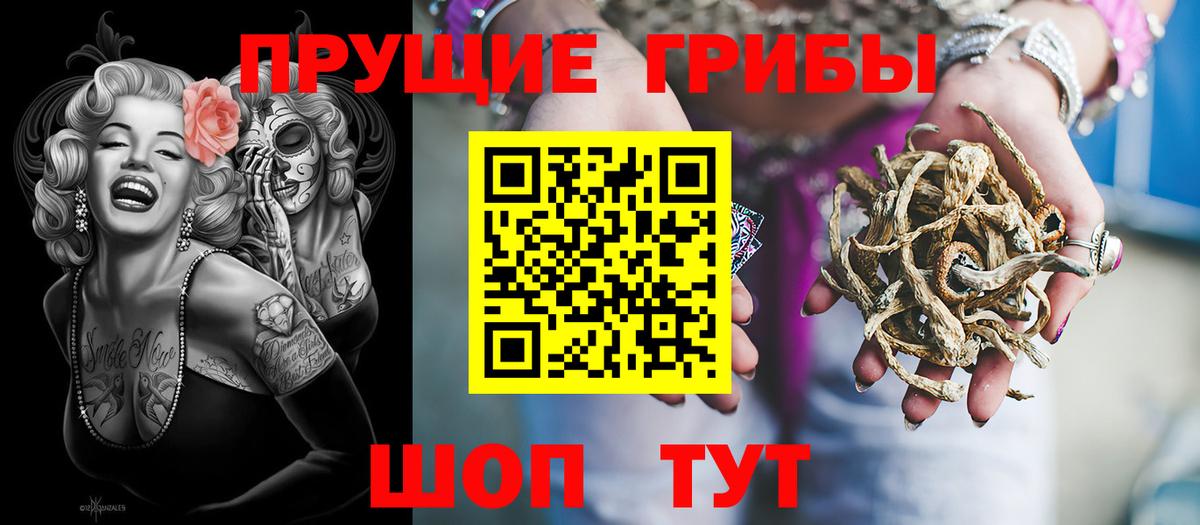 Псилоцибиновые грибы Cubensis  Галлюциногенные грибы MAGIC MUSHROOMS  купить  сайты  Кемерово  Вход с VPN 