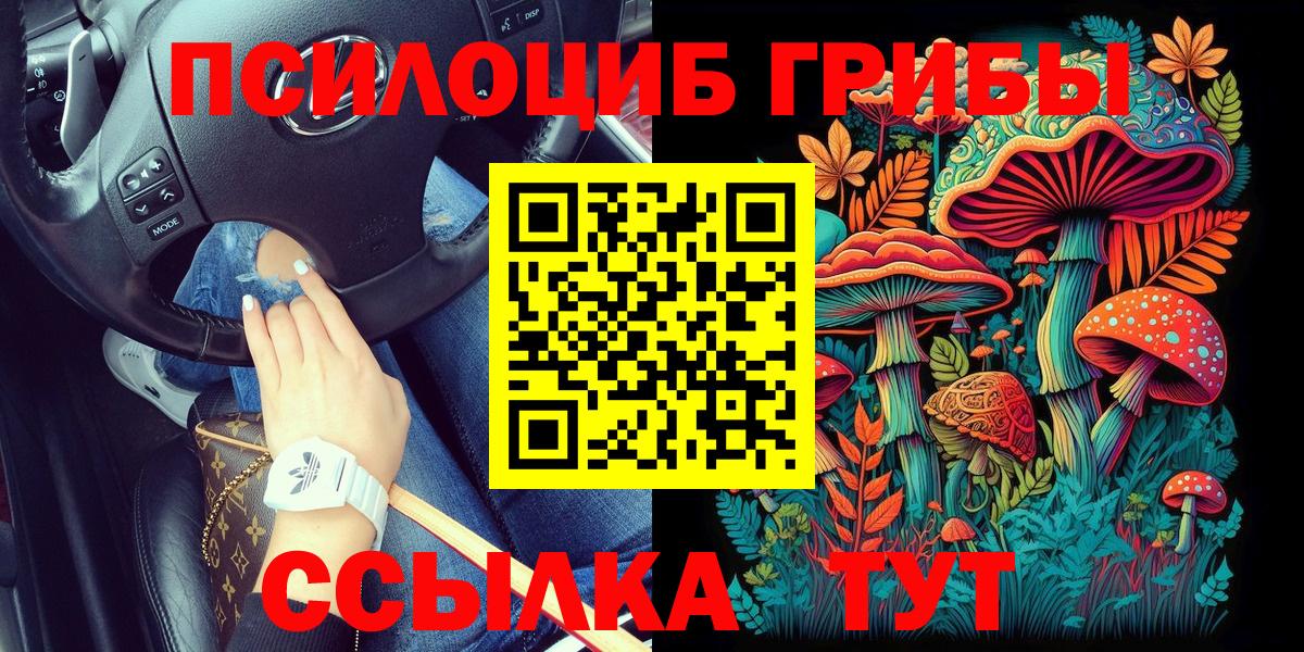 Галлюциногенные грибы Psilocybine cubensis Кемерово